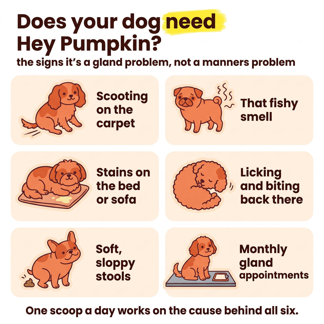Does your dog need Hey Pumpkin? Scooting on the carpet, that fishy smell, stains on the bed or sofa, licking and biting back there, soft sloppy stools, monthly gland appointments
