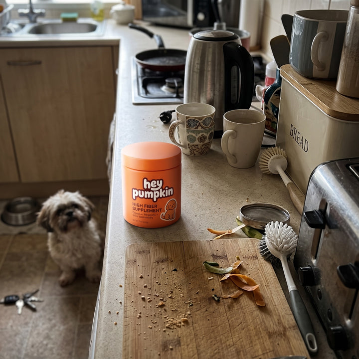 Hey Pumpkin tub on the kitchen worktop