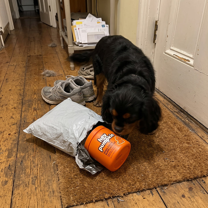 Unboxing the delivery on the doormat