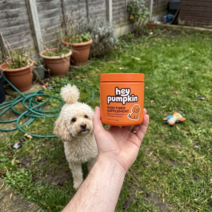 In the garden together