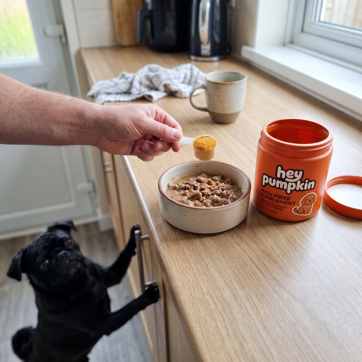 A scoop over wet food