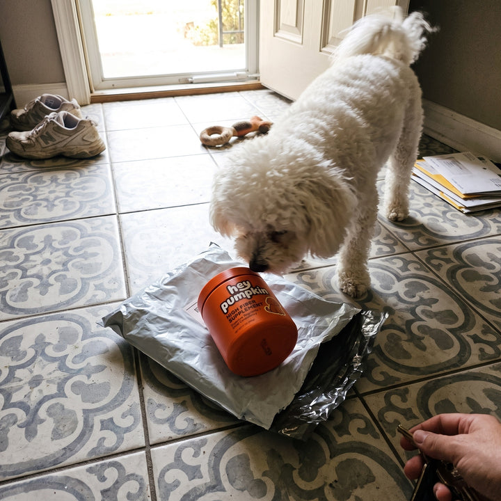 Unboxing in the porch